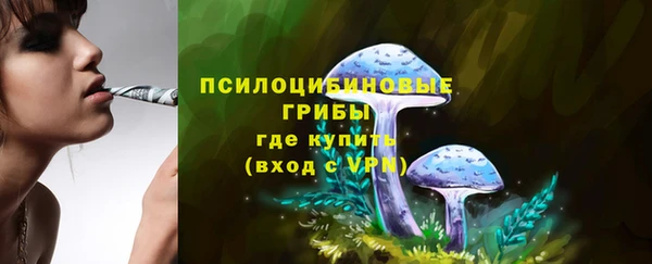 метадон Михайловск
