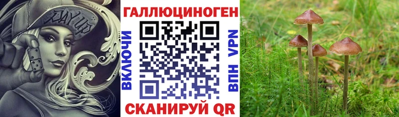 Псилоцибиновые грибы Magic Shrooms  Купить закладки  Приморск 