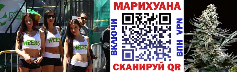 Марихуана план  Купить закладки  Приморск 